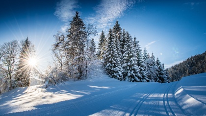 Langlaufloipe Flachauwinkl