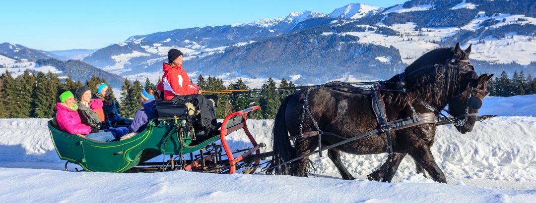 Con la slitta trainata da cavalli attraverso il paesaggio innevato