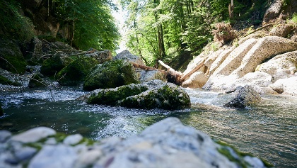 Die Engenlochschlucht in Hittisau